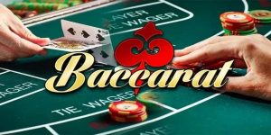baccarat bk8 ảnh đại diện