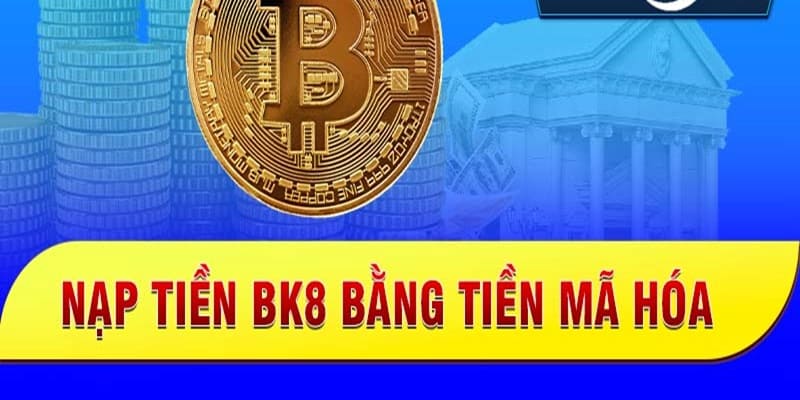 Chú ý đường truyền mạng và yếu tố liên quan để tránh lỗi